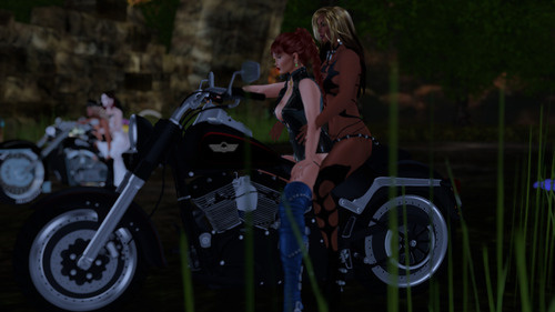 Web 67cc1a3884f03c64a238b676