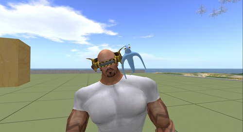 Web 4f05023b90a41158cb000001