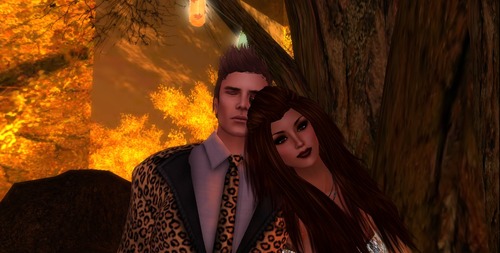 Web 5247a2965dedb66a68000001