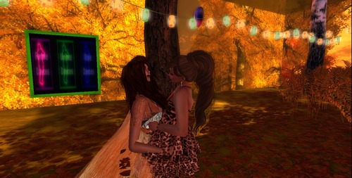 Web 5247a460a2a85c51d8000001