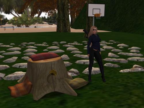 Web 59387998289dd24638000001