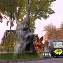 Thumb 525c54abf93a66193a000001