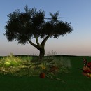 Thumb 526ec4266dcf611f16000001