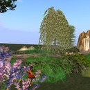 Thumb 52780bbc00adbe16eb000001