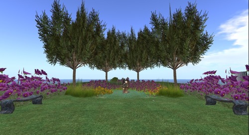 Web 51019a9370f0594f75000001