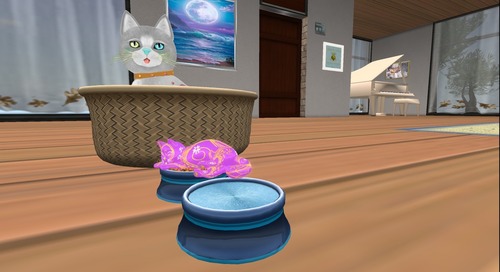 Web 5169d9b98e6e4235a1000001