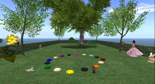 Web 516d7bd050a8741e58000001