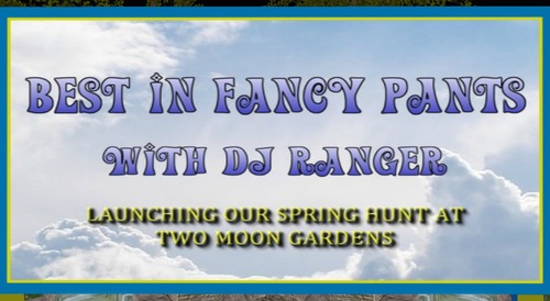 Web 53593fcb8da572705d000001