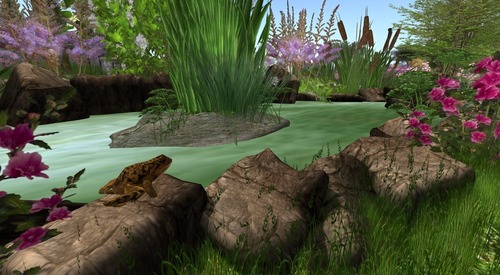 Web 551eeabea73e2158eb000001