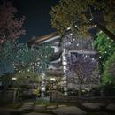 Thumb 595c02aed9859c1679000001