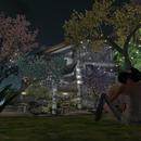 Thumb 595c0465289dd27699000001