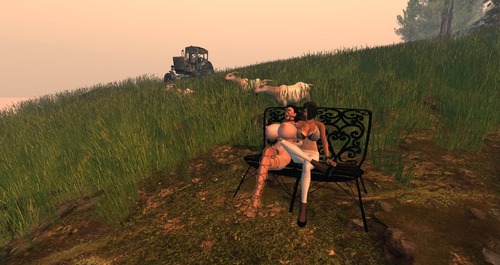 Web 57153bc0f8a1ec278e000001