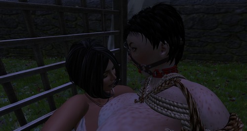 Web 5723c6b99934e02e58000001