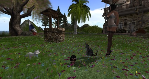 Web 573105c1b713f741a9000001