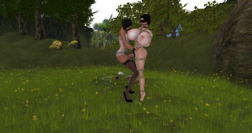 Web 57324d25b713f73d71000001