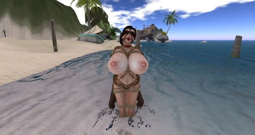 Web 573253cae85cda72cf000001