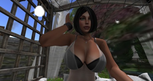 Web 573b8019f8a1ec2b0b000001