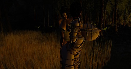 Web 57421957e85cda568f000001