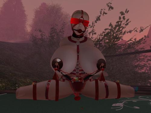 Web 5999b064289dd250a0000001