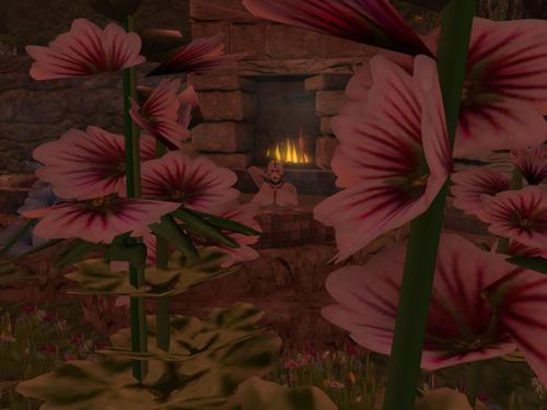 Web 599b36bf289dd24a12000001