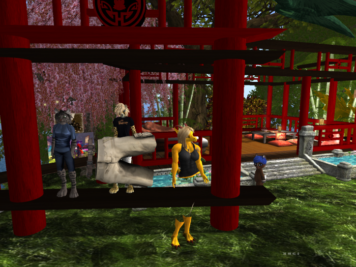 Original 517d75aa7dd8786387000001