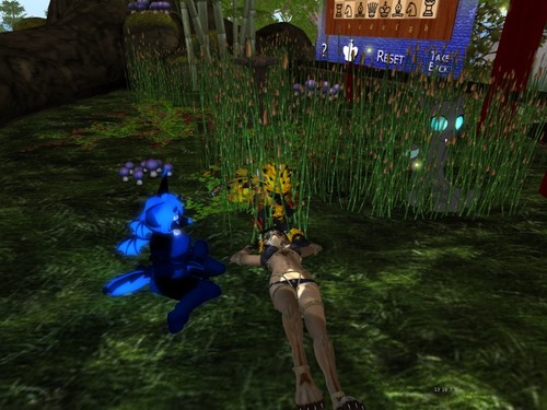 Web 51779c9cddf5793d2e000001