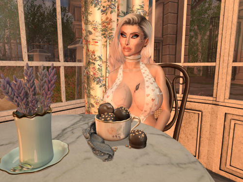 Web 63f32f46ab4c970a7d135098