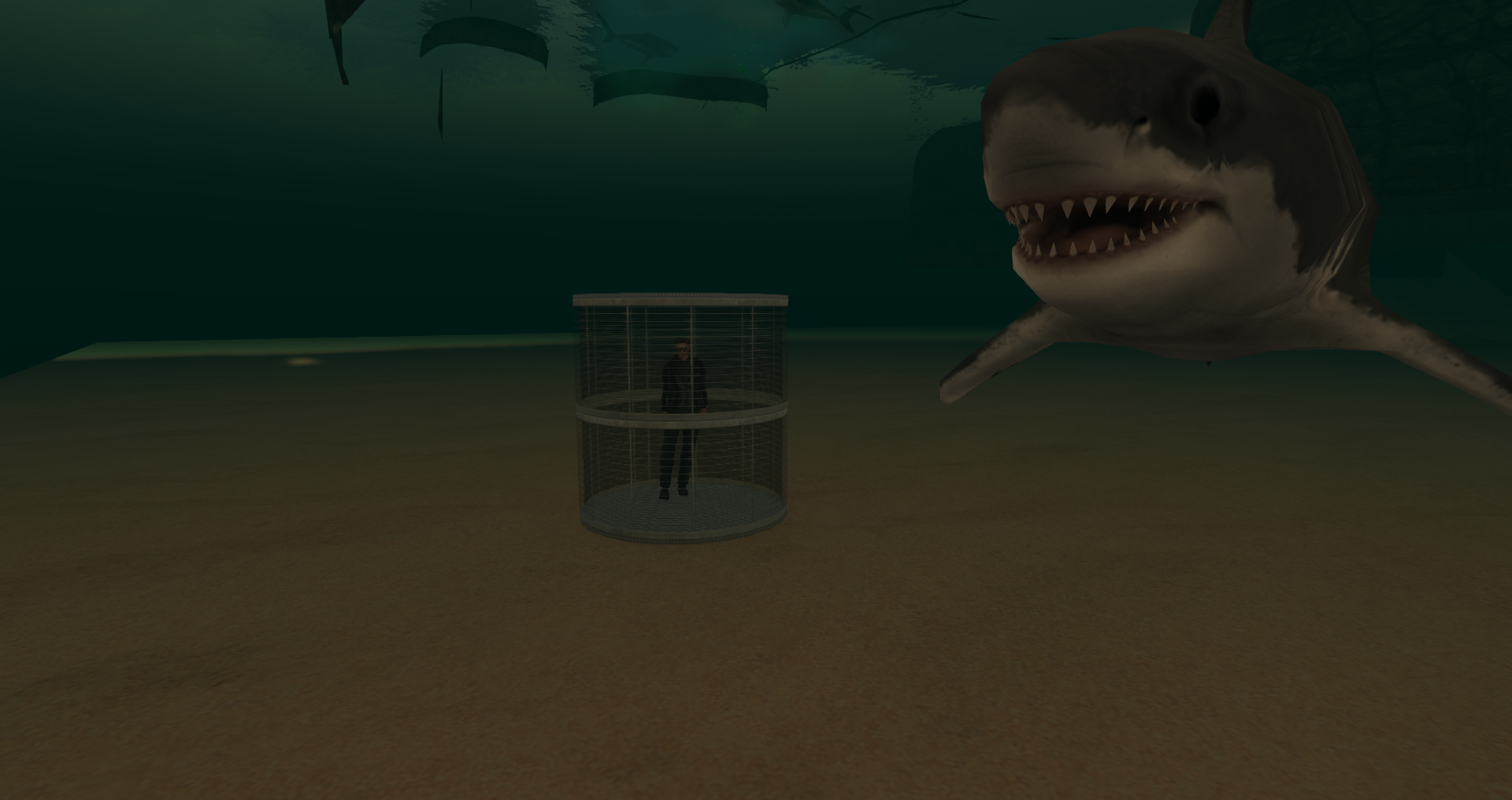 Original 5c5891ec289dd223e7000001