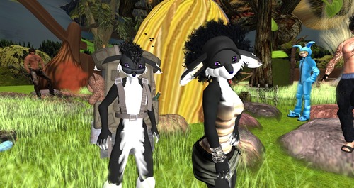 Web 4f80ffbfd8e4cd70cd000001