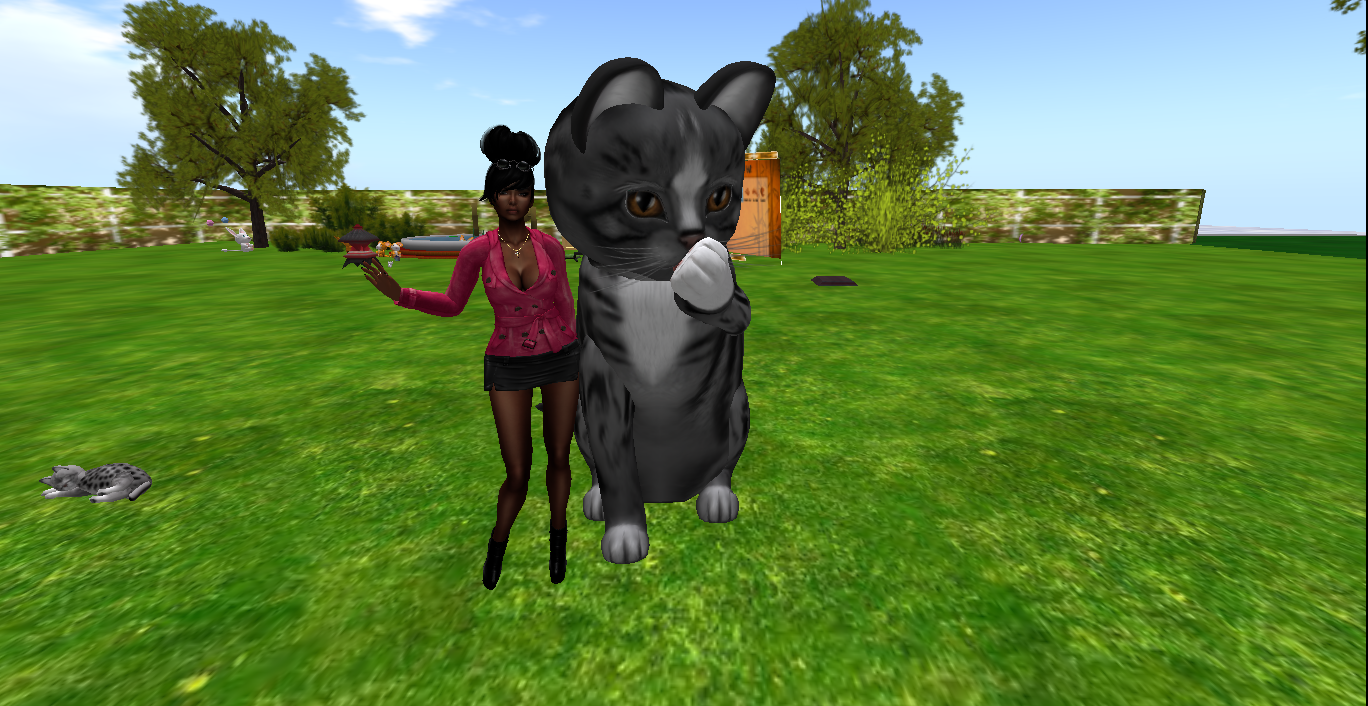 Original 52df87aff8a1ec750d000001