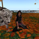 Thumb 528ce84c5558fb3249000001