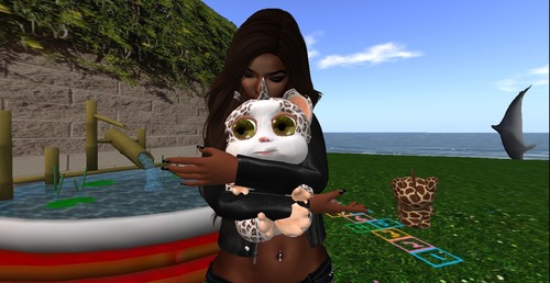 Web 52dd2594f8a1ec1faa000001