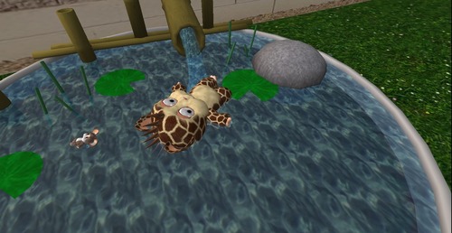 Web 52dd26e78da5721e90000001