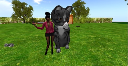 Web 52df87aff8a1ec750d000001