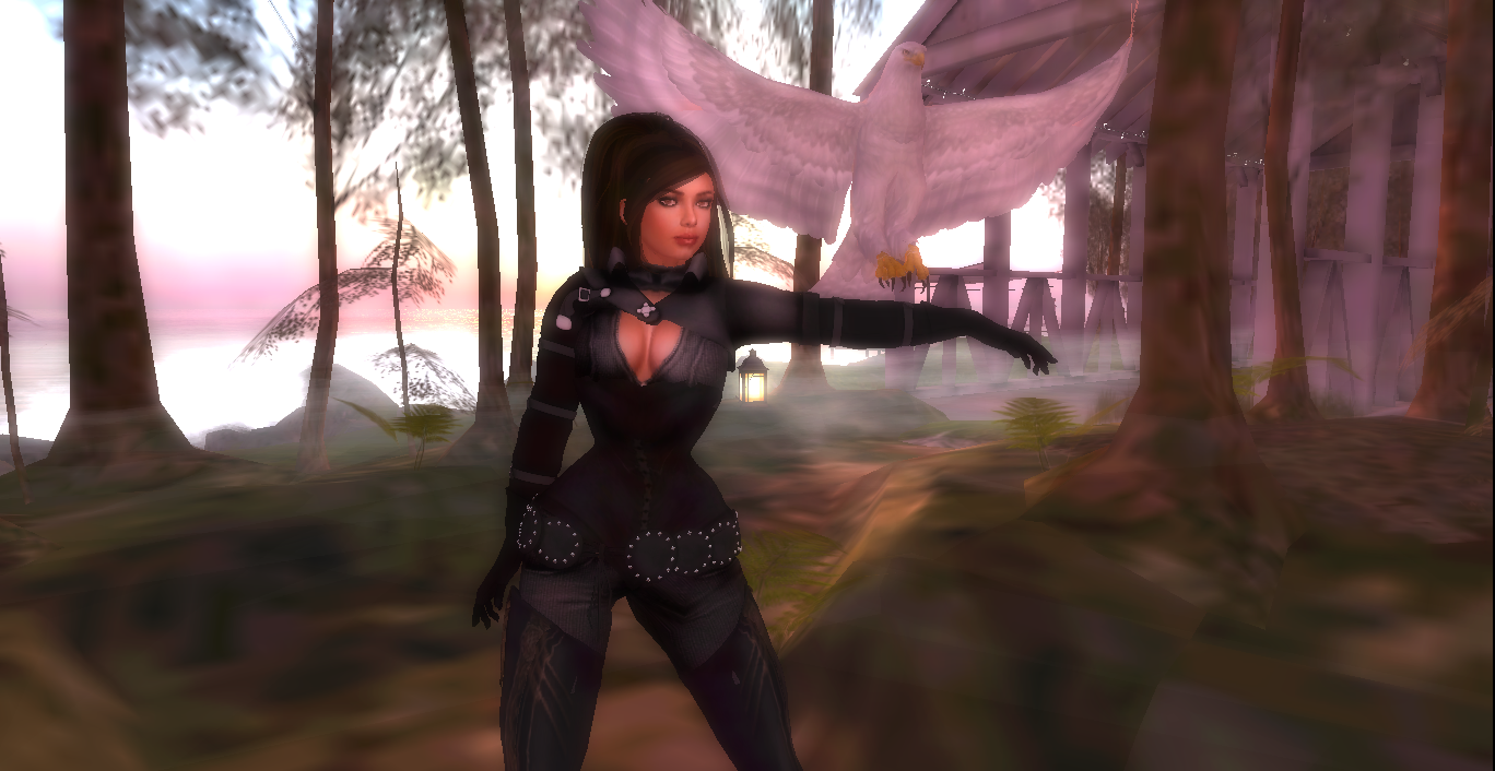 Original 53d9caf18da5724113000001