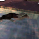 Thumb 537f0170f8a1ec5bc4000001