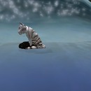 Thumb 53883302f8a1ec7c45000001