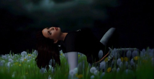 Web 5382ed38f8a1ec53d5000001