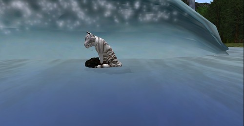 Web 53883302f8a1ec7c45000001