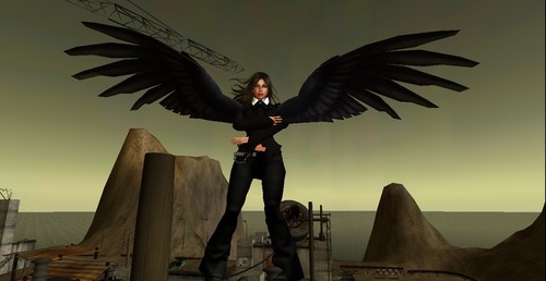 Web 53f5735ef8a1ec5056000001