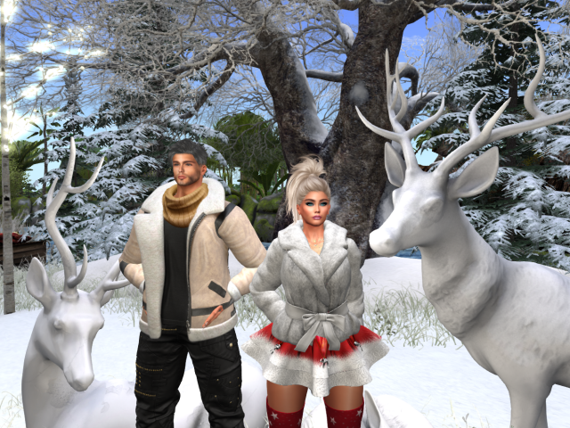 Original 63bb40cf15883b1316dad221