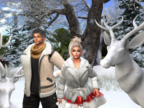 Web 63bb40def7069f28e20f9a29