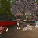 Thumb 5ab1fa55d9859c2f82000001