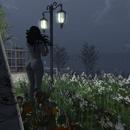 Thumb 5aff846073ed1724e9000001