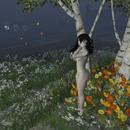 Thumb 5aff848c73ed1726e5000001