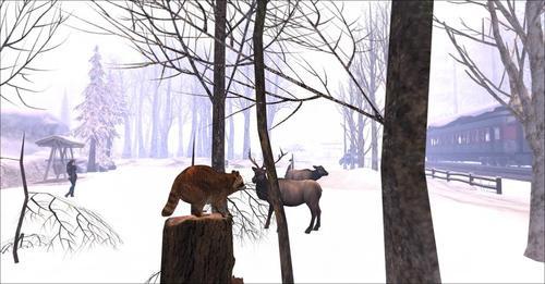 Web 5de6d0b4289dd24d7f93b7a7