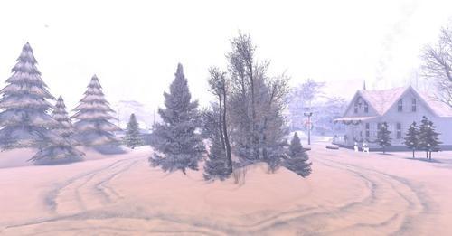 Web 5de6d73b73ed17201d217f2f