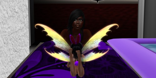 Web 50fdc27ff2478c689f000001