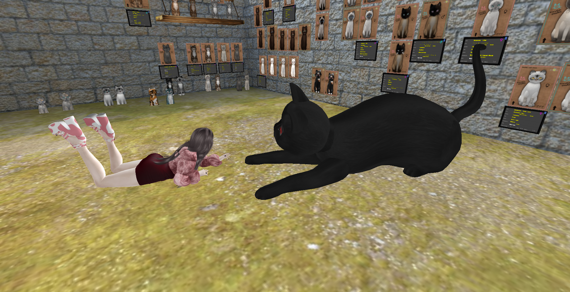 Original 672a3f7941deb67e90392b82