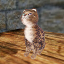 Thumb 670c33b5378276562c6ec5b2